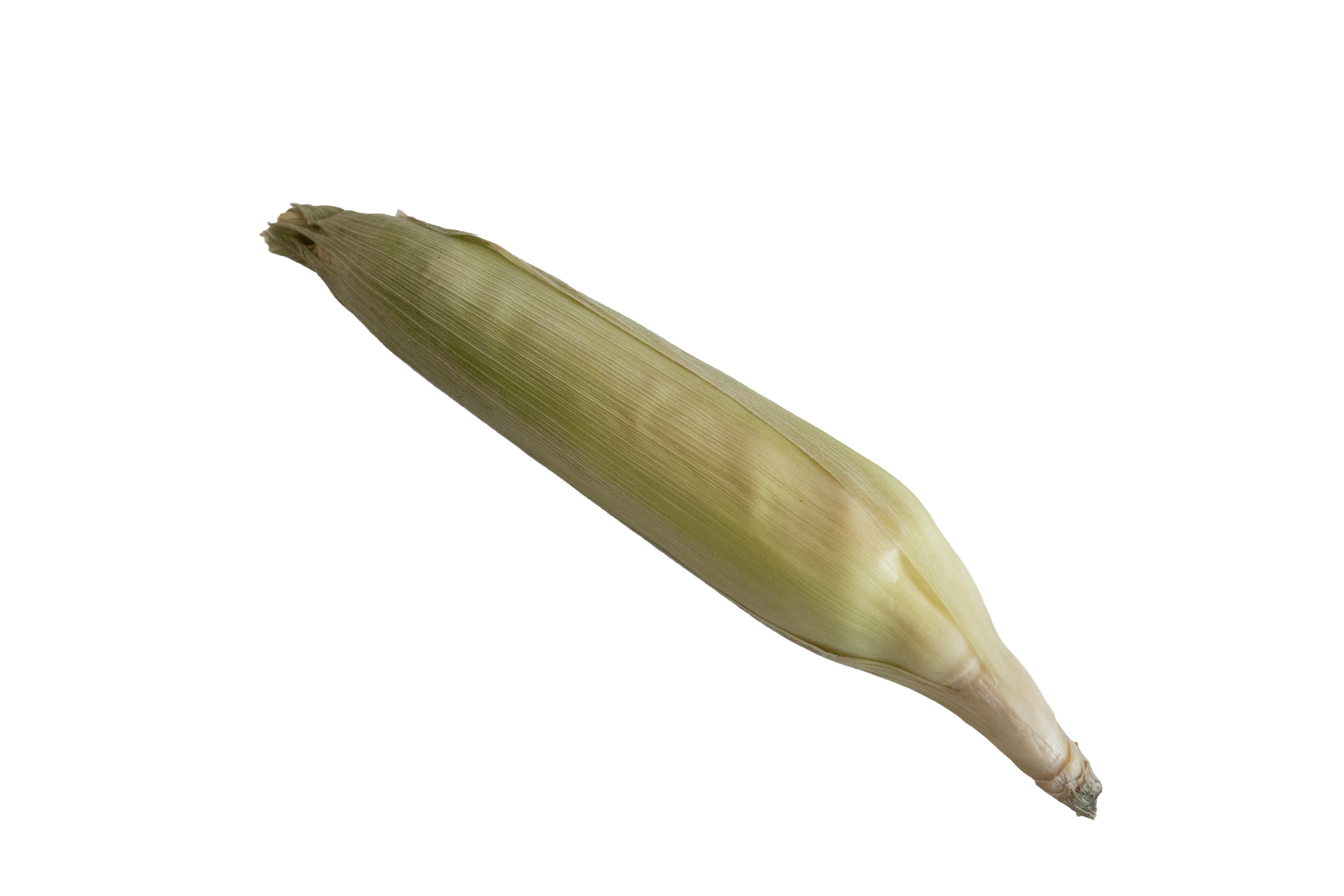 Sweet Corn